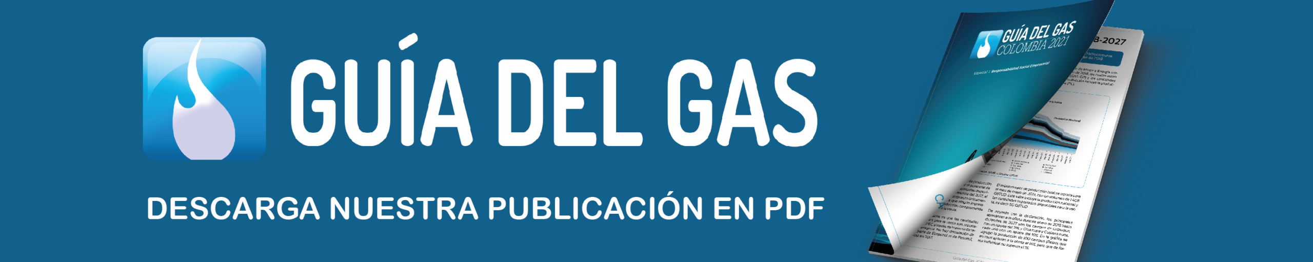 Descarga Guia del Gas 2021 Guía del Gas