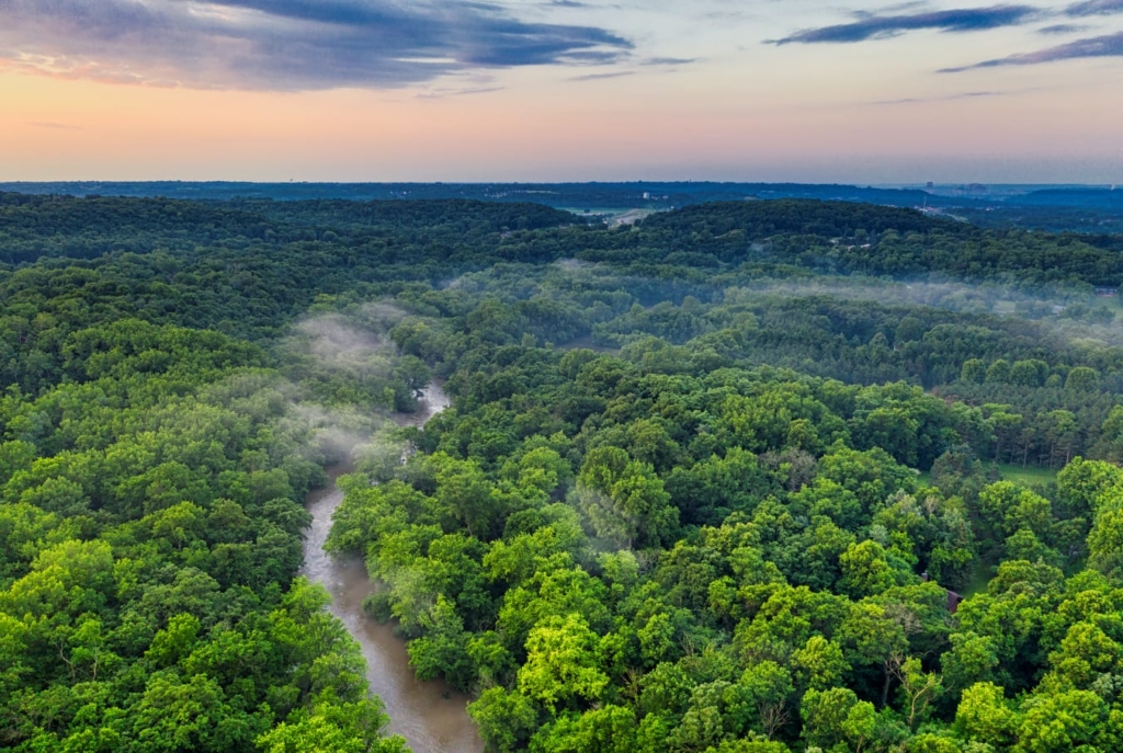 ACGGP: Proteger la Amazonía con realismo y participación
