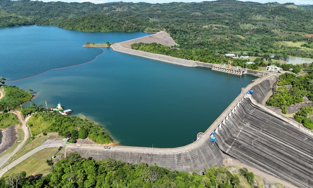 La culpa es de la vaca