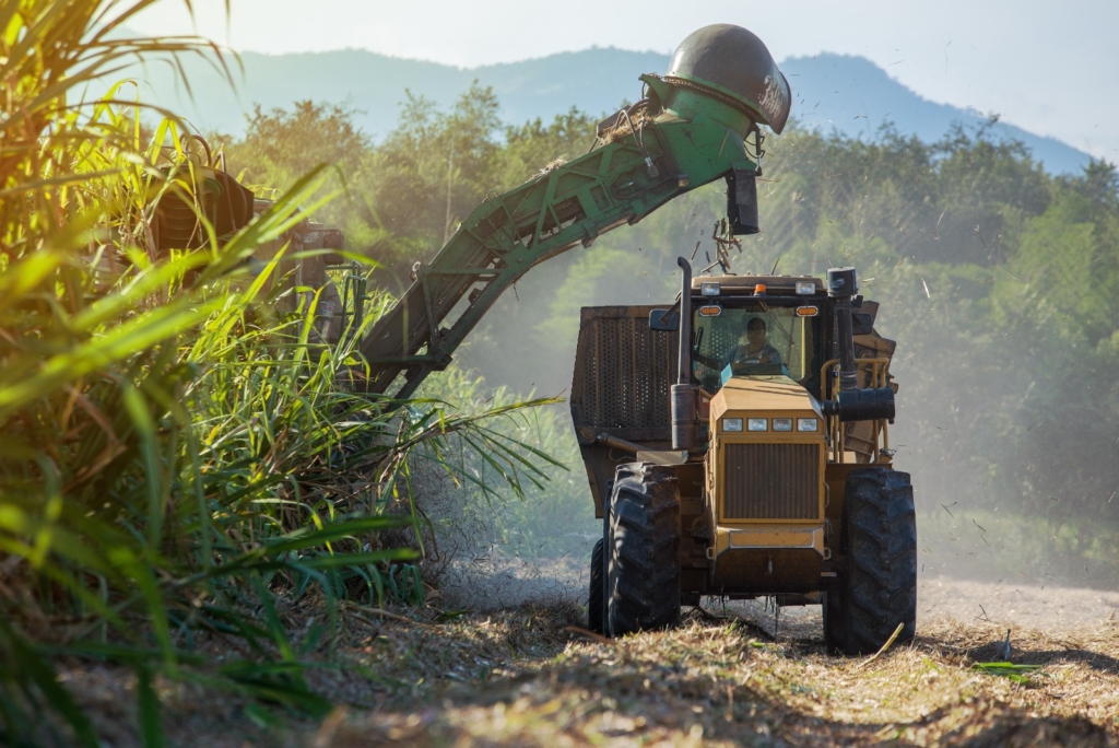 En defensa de los biocombustibles