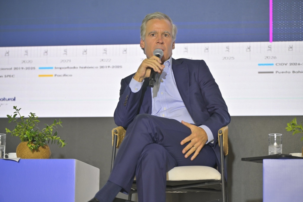Gas: dos proyectos de importación por Puerto Bahía
